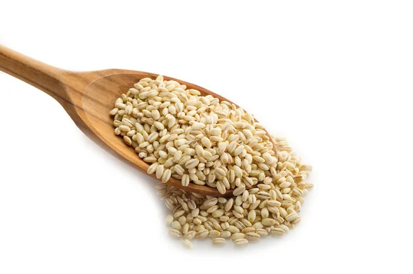 Barley on white background — Stock Photo, Image
