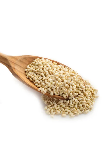 Barley on white background — Stock Photo, Image