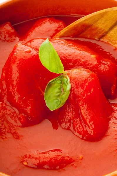 Tomater sås — Stockfoto