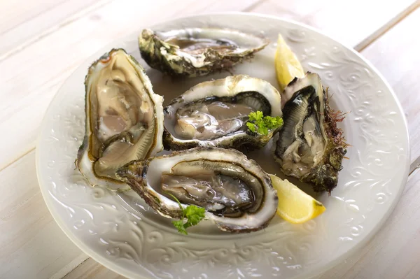 新鲜法国牡蛎 — 图库照片