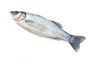 Seabass on white clipart