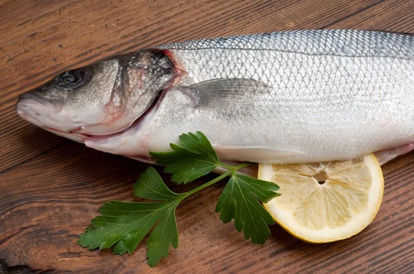Havsabborre med ingredienser redo att matlagning — Stockfoto