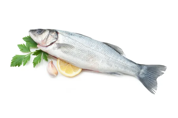 Seabass with ingredients ready to cooking — Stock Photo, Image