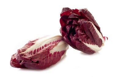 Chicory on white background