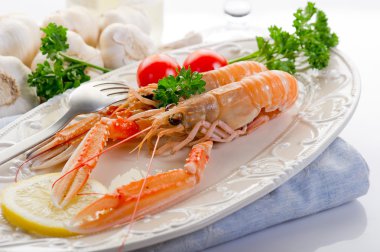 Norway lobster clipart