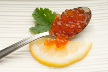 somon yumurtası