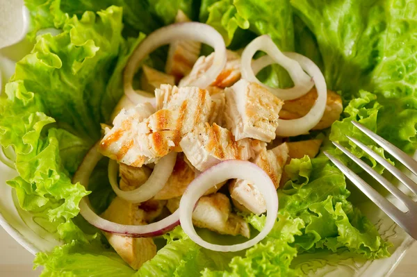 Izgara tavuk göğsü ile karışık salata — Stok fotoğraf