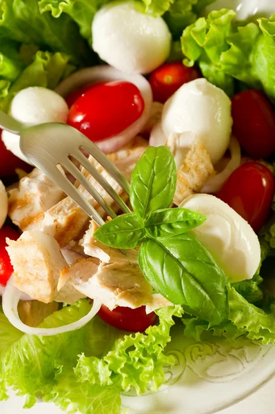 Karışık ızgara tavuk göğsü ve kiraz mozzarella salatası — Stok fotoğraf