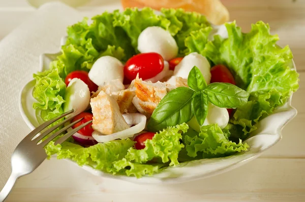 Salade mixte avec poitrine de poulet grillée et mozzarella cerise — Photo