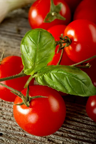 Ingredienser till pasta med italiensk tomatsås — Stockfoto