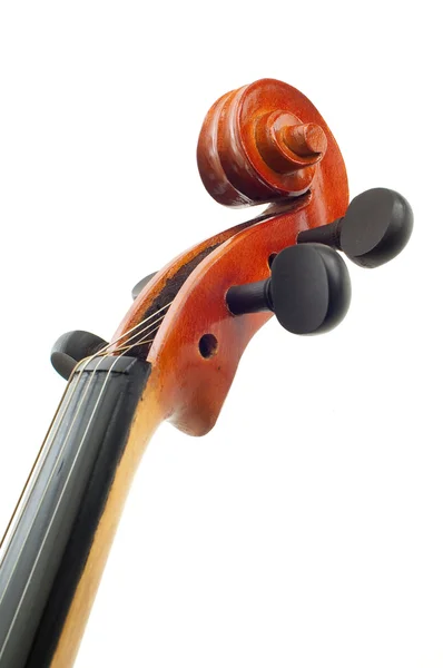 Violin i vit bakgrund — Stockfoto