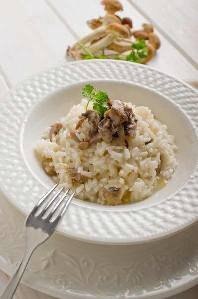 Risotto with cep mushroom
