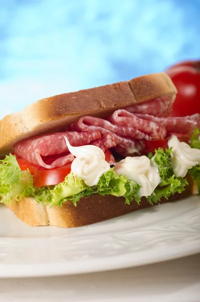 Smörgås med salami och sallad — Stockfoto