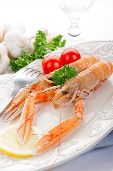 Norway lobster — Stock Photo, Image