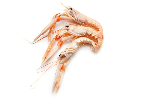 Lobster norway di atas putih — Stok Foto