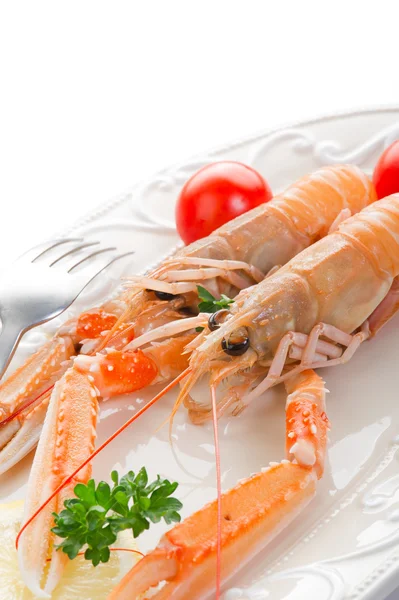 Lobster Norwey — Stok Foto