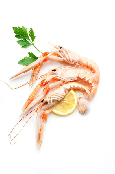 Norway lobster with ingredients ready to cooking — Stock Photo, Image