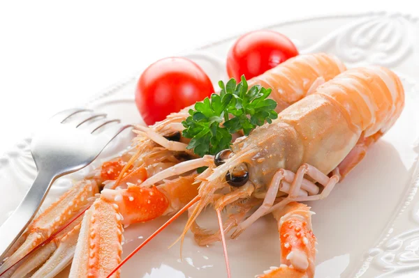 Lobster Norwey — Stok Foto