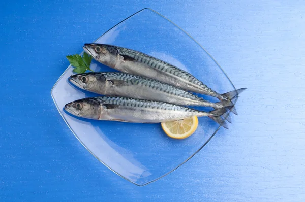 Makreel met ingrediënten klaar om te koken — Stockfoto