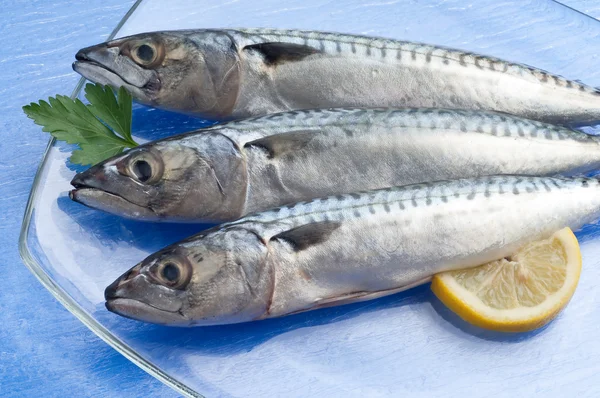 Mackerel with ingredients ready to cooking — Stock Photo, Image