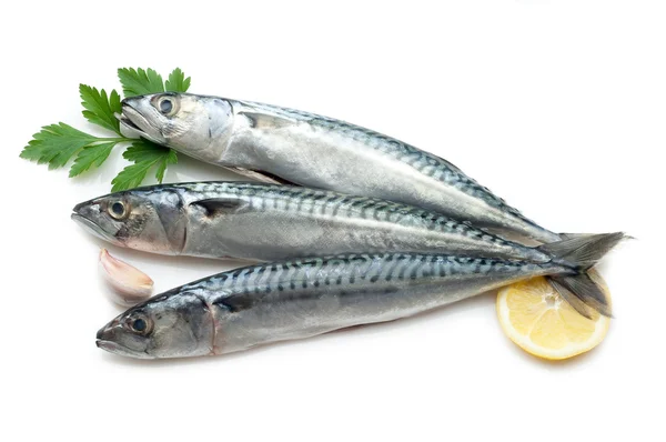 Makreel met ingrediënten klaar om te koken — Stockfoto
