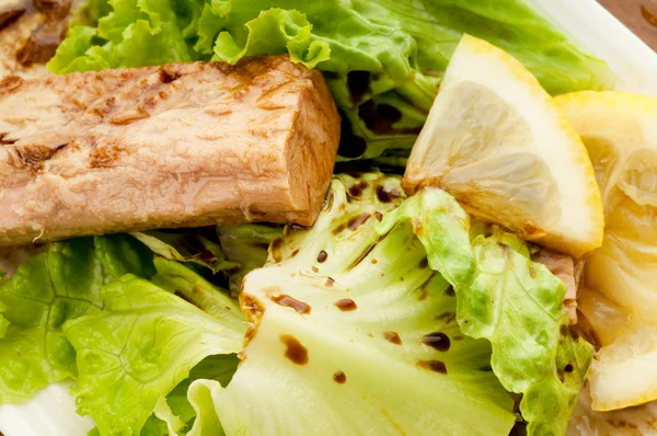 Thunfisch und Salat — Stockfoto