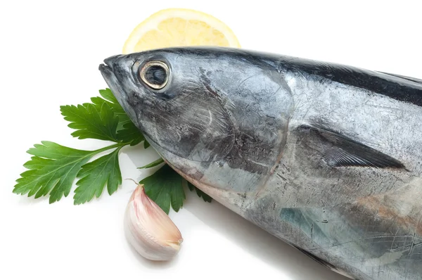 Tonfisk med ingredienser redo att matlagning — Stockfoto
