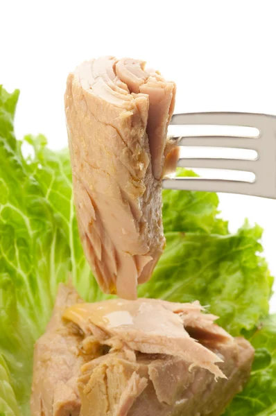 stock image Fork with tuna