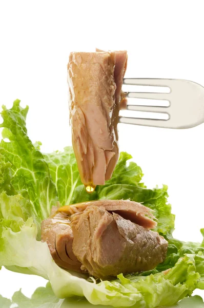 stock image Fork with tuna