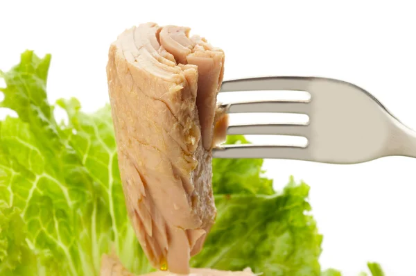 Gaffel med tonfisk — Stockfoto