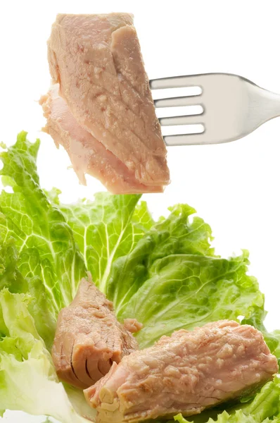 stock image Fork with tuna