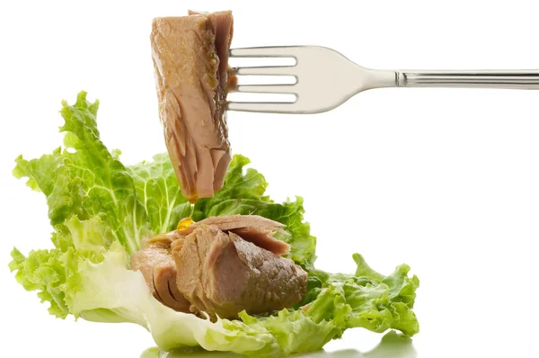 stock image Fork with tuna