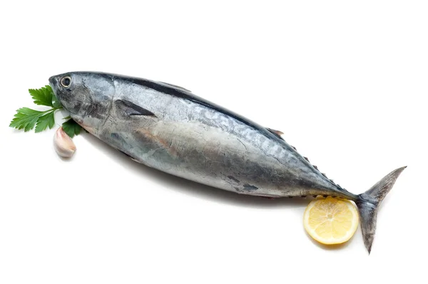 A hozzávalókat kész főzés tonhal — Stock Fotó