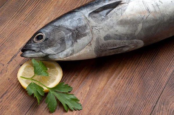 Tuna with ingredients ready to cooking — Stock Photo, Image
