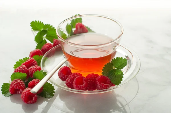 Raspberry tea — Stock Photo, Image