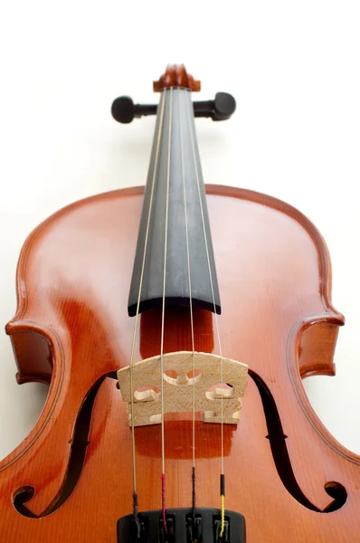 Скрипка на білому фоні — стокове фото