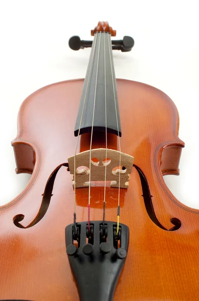 Violin i vit bakgrund — Stockfoto