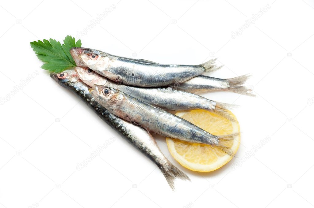 Sardines on white