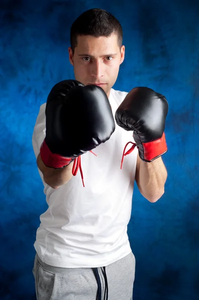 stock image Boxer man