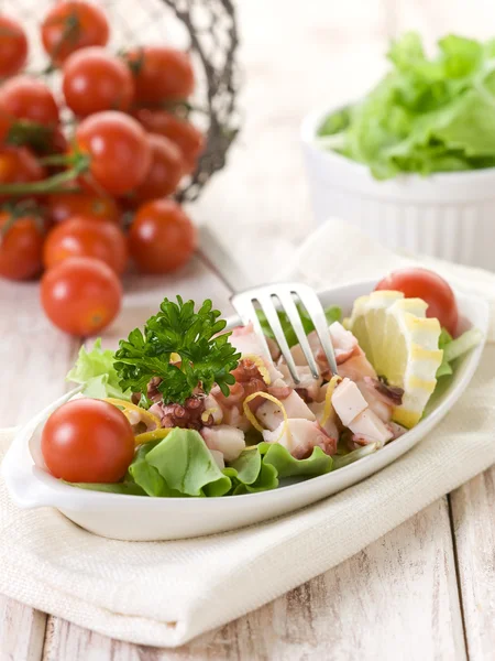 Tintenfischsalat mit Tomaten und Salat — Stockfoto