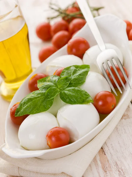 Buffelmozzarella med basilika och tomater — Stockfoto