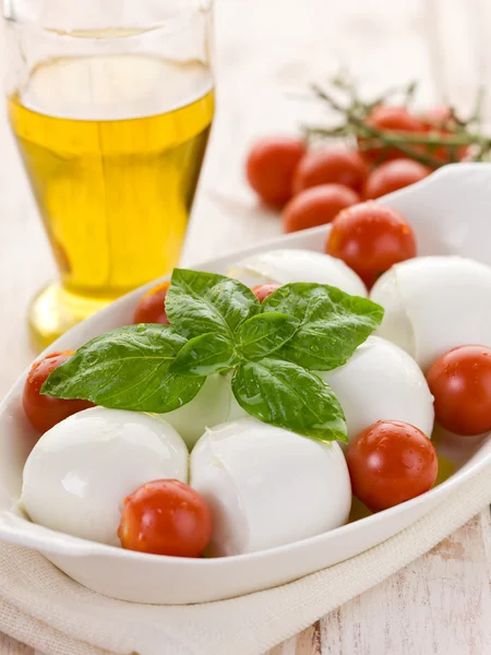 Büffelmozzarella mit Basilikum und Tomaten — Stockfoto