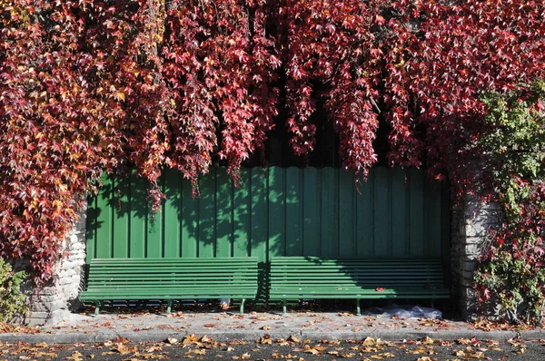 Deux stands verts avec des feuilles d'automne rouges — Photo