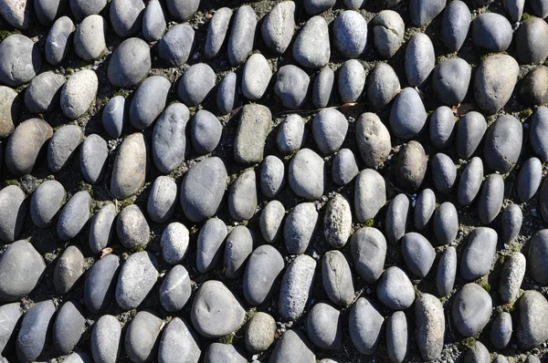 Many blue pebbles texture — Stock Photo, Image