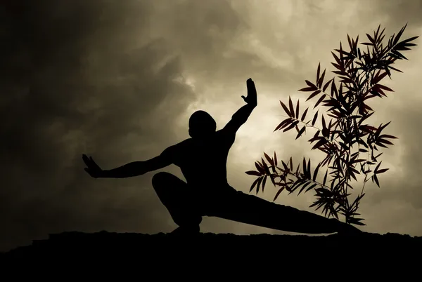 Kung Fu Martial Art Background