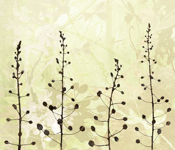 Blume Grenze Kunst auf Papier Hintergrund — Stockfoto