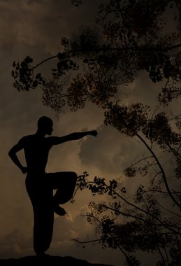 Spiritual Man Practises Martial Arts Background clipart