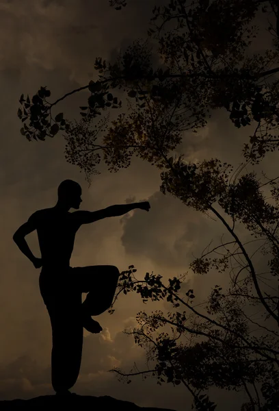 Spiritueller Mann praktiziert Kampfkunst-Hintergrund — Stockfoto