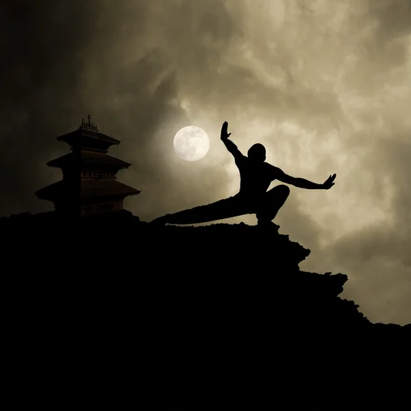 Kung fu martiale kunst achtergrond — Stok fotoğraf