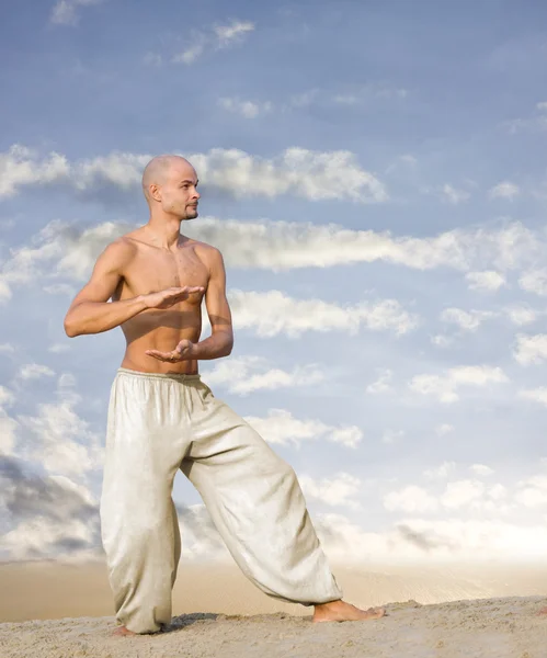 Tai chi martiale kunst achtergrond — Stockfoto